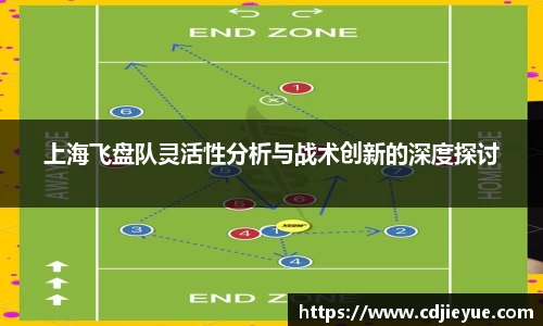 上海飞盘队灵活性分析与战术创新的深度探讨